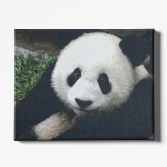 Kit Broderie Diamant Panda Mignon