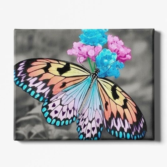 Kit Broderie Diamant Papillon Arc-en-Ciel - Brodeuse De Diamant