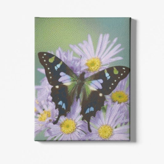 Kit Broderie Diamant Papillon Exotique