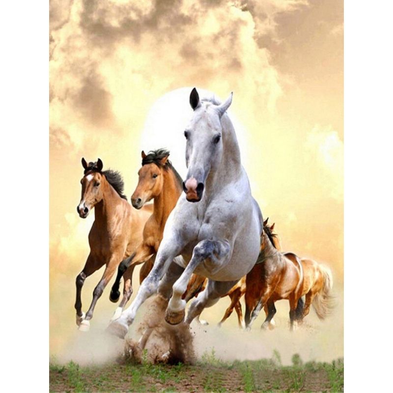 Kit Broderie Diamant Chevaux Sauvages - Brodeuse De Diamant