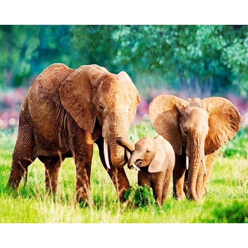 Kit Broderie Diamant Eléphant et ses Parents - Brodeuse De Diamant