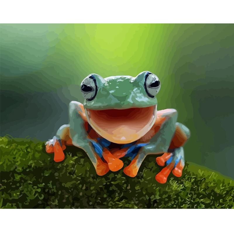 Kit Broderie Diamant Grenouille Heureuse - Brodeuse De Diamant