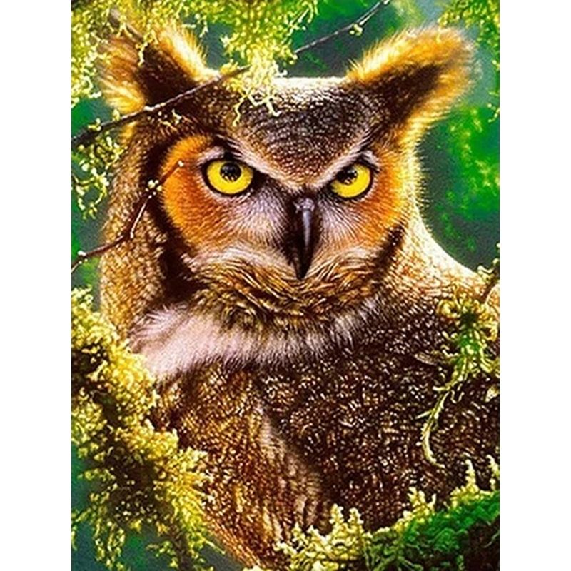 Kit Broderie Diamant Hibou Nature - Brodeuse De Diamant