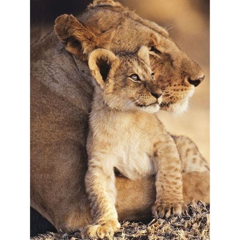 Kit Broderie Diamant Maman Lion - Brodeuse De Diamant