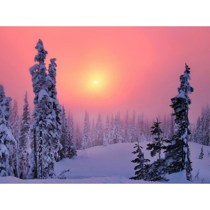 Kit Broderie Diamant Paysage Sapin Neige - Brodeuse De Diamant