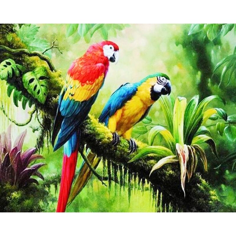 Kit Broderie Diamant Perroquets sur Branche - Brodeuse De Diamant