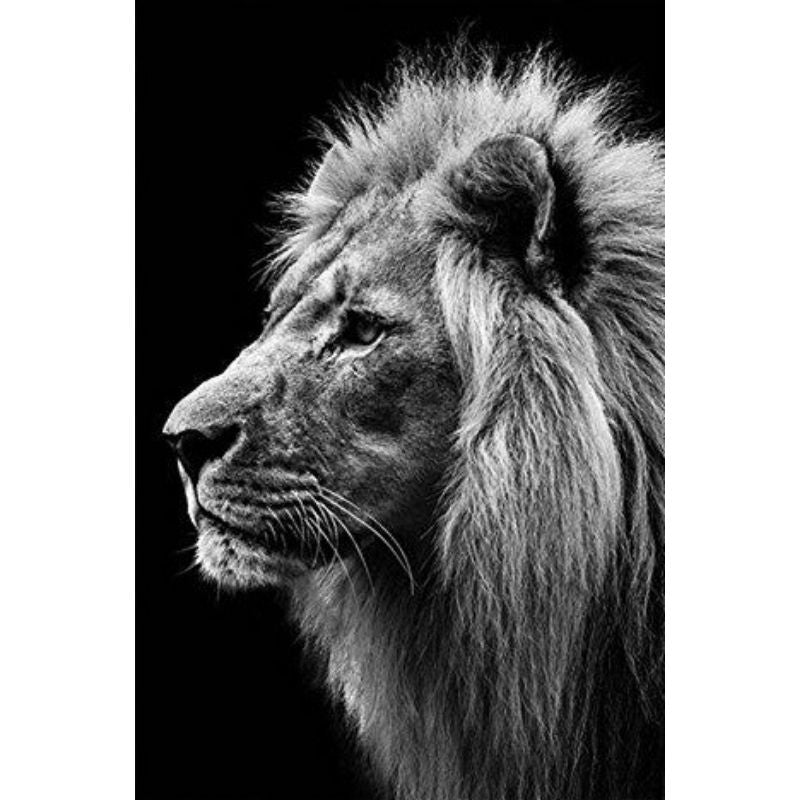 Kit Broderie Diamant Portrait Lion - Brodeuse De Diamant