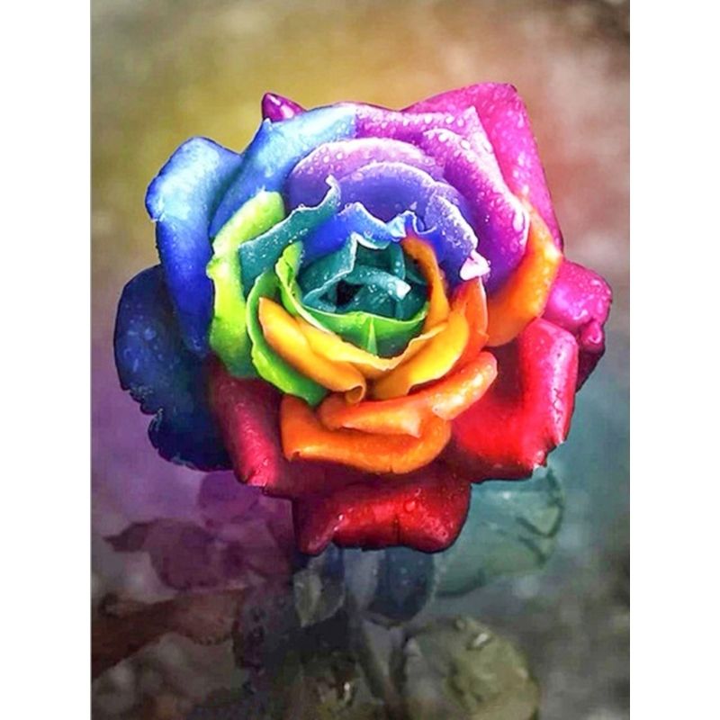 Kit Broderie Diamant Rose Multicolore
