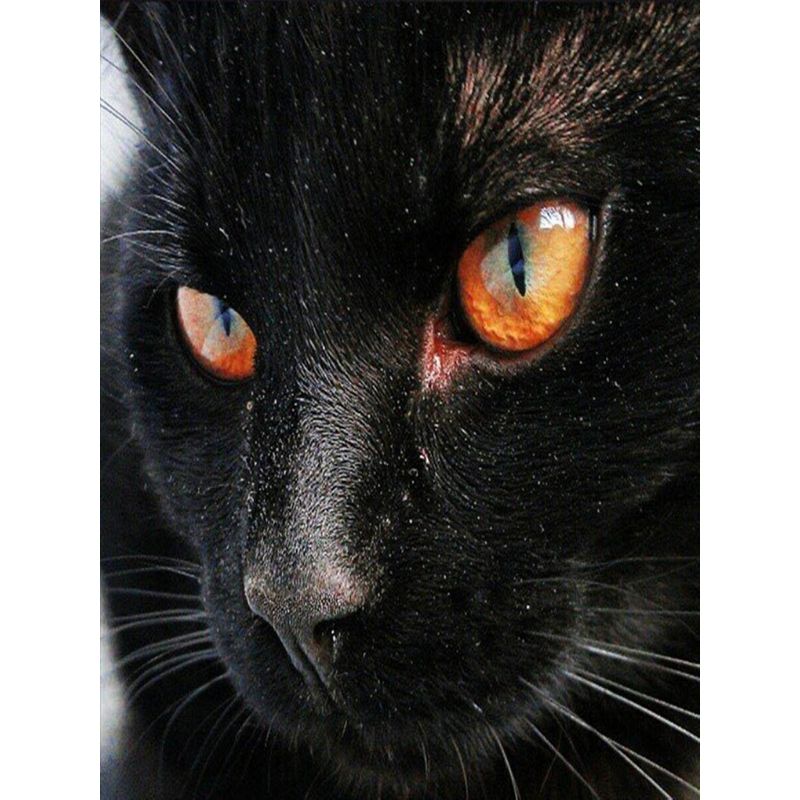 Kit Broderie Diamant Portrait Chat - Brodeuse De Diamant